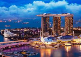 Bsports网页版免费版